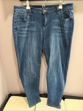 Lane Bryant Jeans in Medium Blue Wash